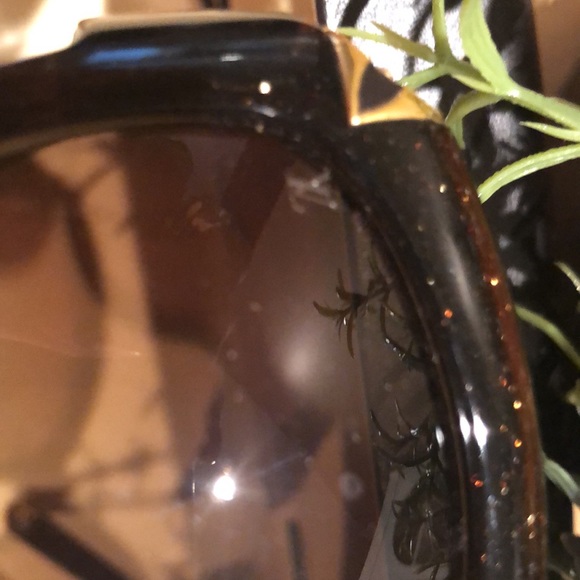 Louis Vuitton brown Hortencia sunglasses - Picture 11 of 16